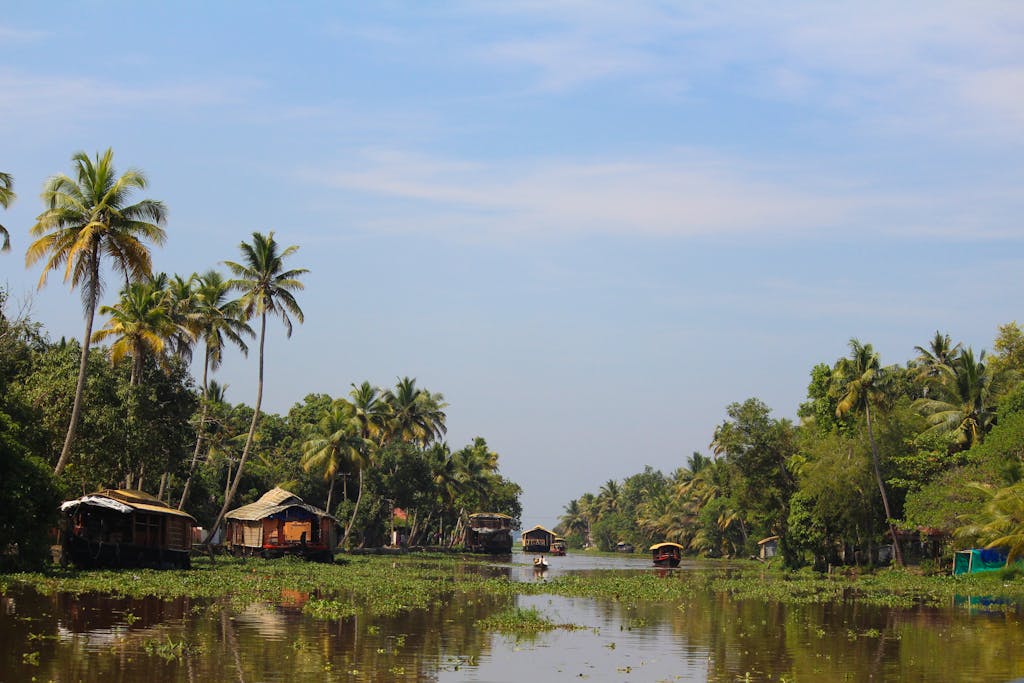 Peaceful view of Kerala backwaters with houseboats, palm trees under clear skies.