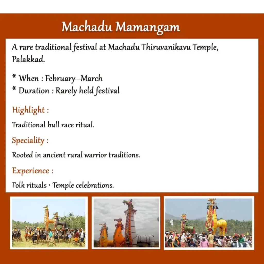 From temple rituals to vibrant street celebrations Keralas festivals are truly one of a kind